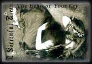 A Sorrowful Dream : The Echo of Your Cry